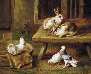 unknow artist Two Rabbits and three pigeons 069 France oil painting artist